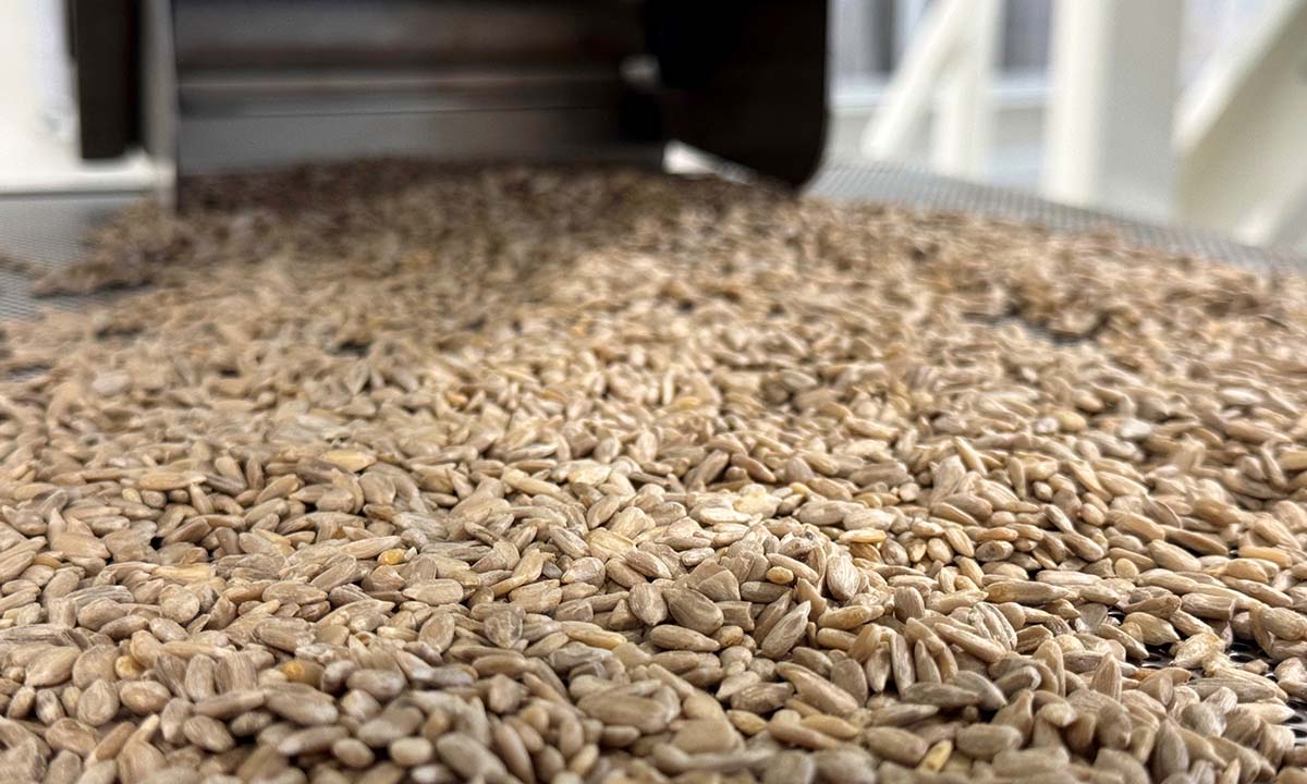 immagine Filiera dei semi alimentari - Confezionamento semi alimentari